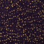 Silvan 1-2750 60% acrilico 20% lana 20% nylon